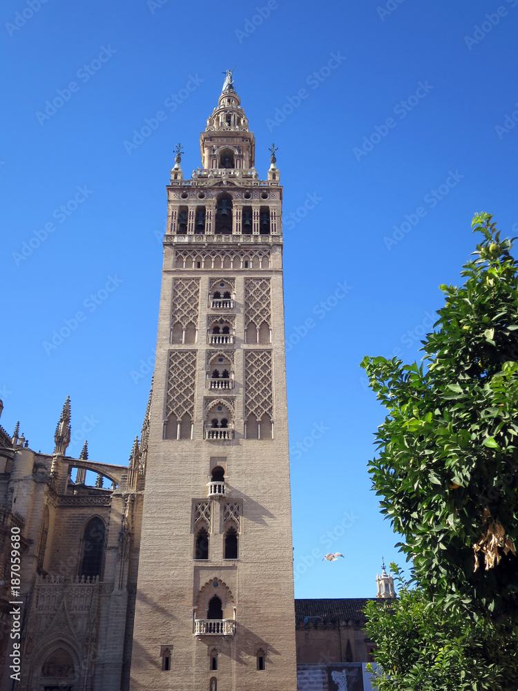 Glockenturm Giralda und Kathedrale Santa María de la Sede