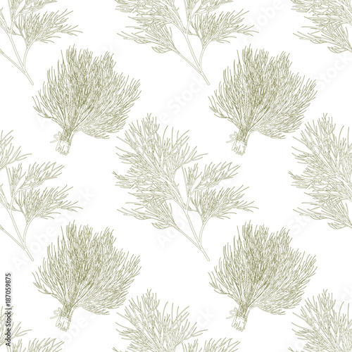 dill seamless pattern vector