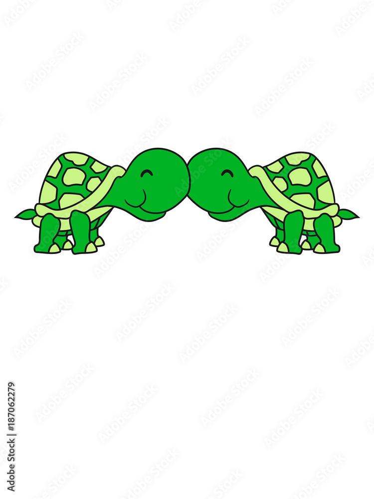 kuscheln küssen liebe verliebt 2 freunde paar pärchen klein schildkröte