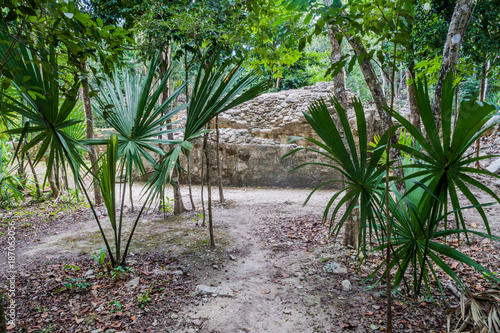 Ruins of the Mayan city Coba  Mexico