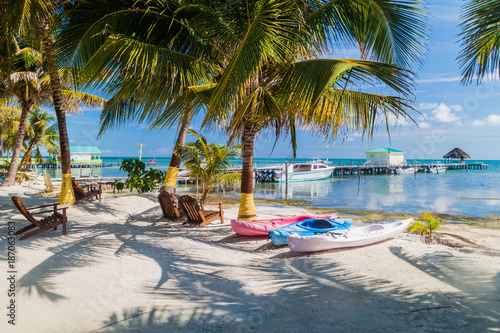 Palms and beach at Caye Caulker island, Belize