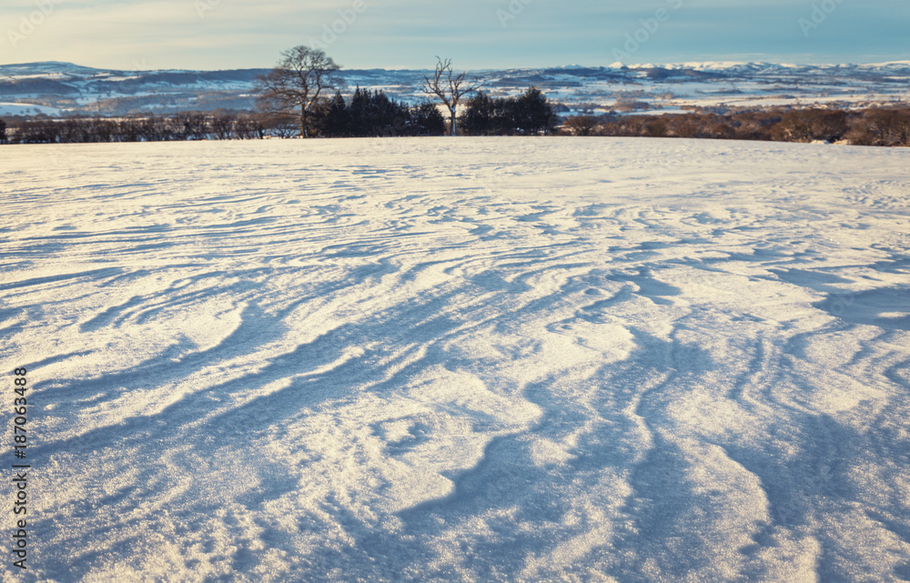 Winter Landscaoe with Ripple Marks on Snow
