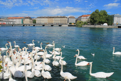La ville de Genève et son Lac, Suisse