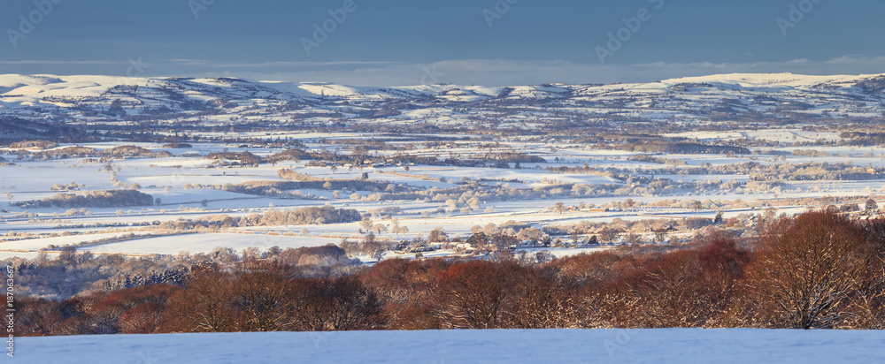Winter Landscape in UK Panorama