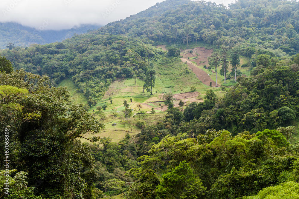 Lush landscape near Boquete, Panama