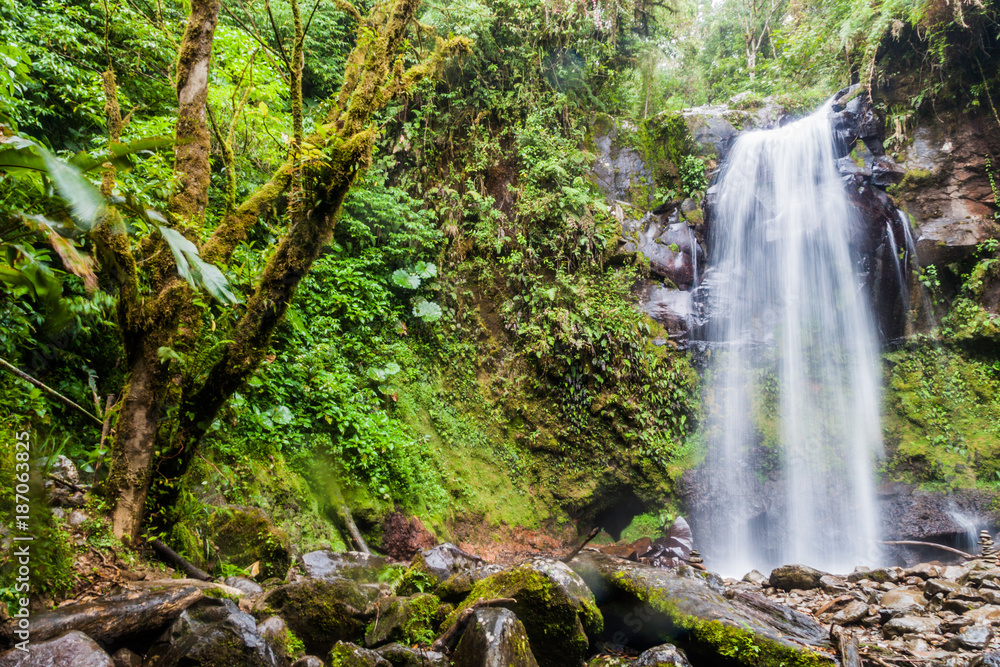 Waterfall in a cloud forest near Boquete, Panama. Accessible by Lost Waterfalls hiking trail.