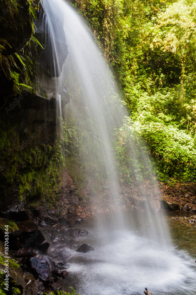 Fototapeta premium Jeden z wodospadów w lesie chmur wzdłuż szlaku turystycznego Lost Waterfalls w pobliżu Boquete w Panamie