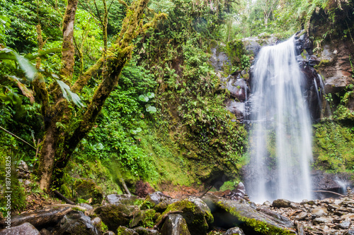 Waterfall in a cloud forest near Boquete  Panama. Accessible by Lost Waterfalls hiking trail.