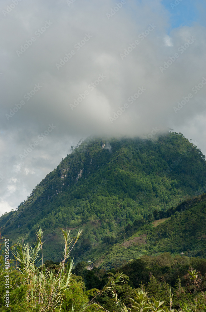 Foggy summer morning in the green mountains. landscape in Guatemala, Alta Verapaz.