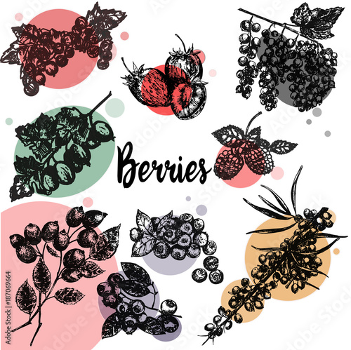 Hand drawn sketch style set of different kinds of berries. Vector illustration isolated on white background.
