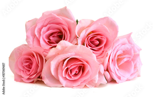bouquet of pink roses isolated on white