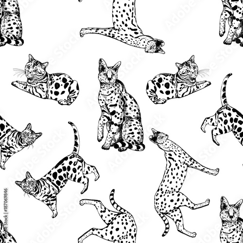 Seamless pattern of hand drawn sketch style bengal cats and servals. Vector illustration isolated on white background.