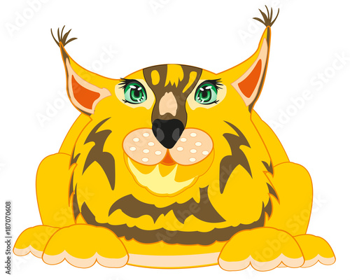 Wildlife trot on white background