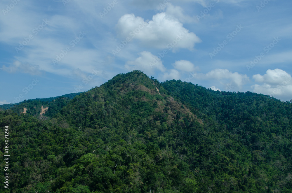 lansscape forest in thailand lansscape forest in thailand