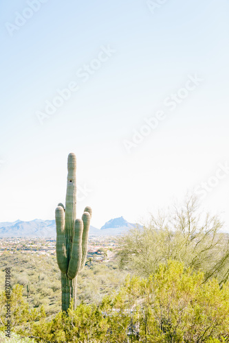 DESERT 10