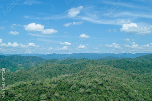 Fototapeta Naklejka Na Ścianę i Meble -  lansscape forest in thailand
