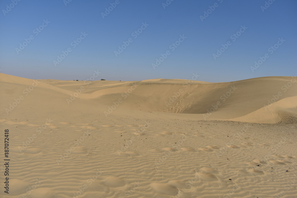 sam sand dunes in thar desert jaisalmer rajasthan india