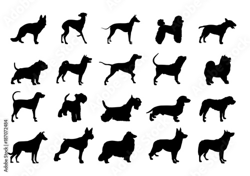 collection of dogs silhouette.Silhouette of the Dog.illustration with set of dogs isolated on white background. dog isolated on white.