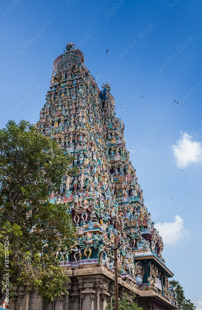 Fototapeta premium Colorful tower of Meenakshi Amman Temple