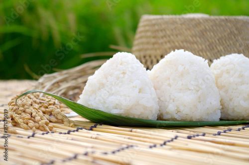 Wallpaper Mural おにぎり Torontodigital.ca