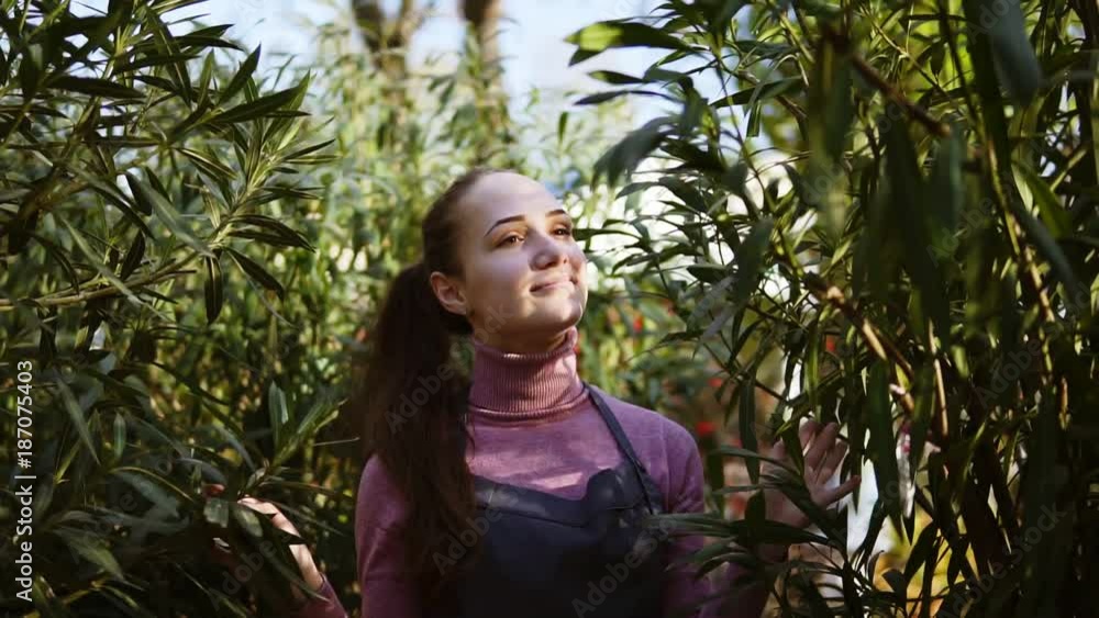 Happy smiling female gardener in apron touching leaves of different trees while walking among rows of trees in a garden or greenhouse Happy smiling female gardener in apron touching leaves of different trees while walking among rows of trees in a garden or greenhouse