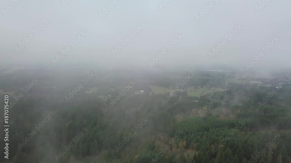 Cloudy Woods Cloudy Woods