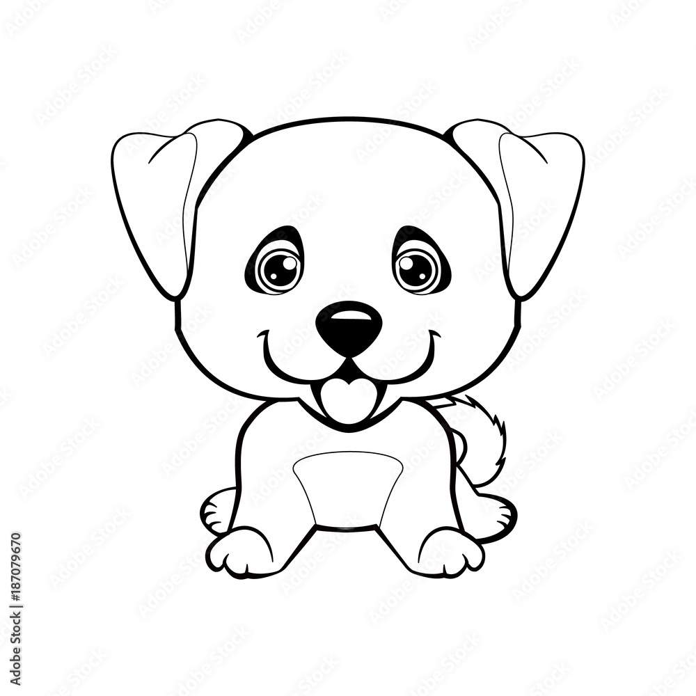 Fototapeta premium Anatolian Shepherd Dog.