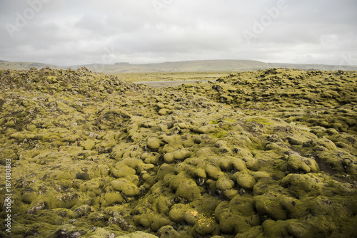  moss rock Iceland . landscape