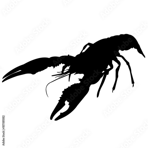 Crayfish