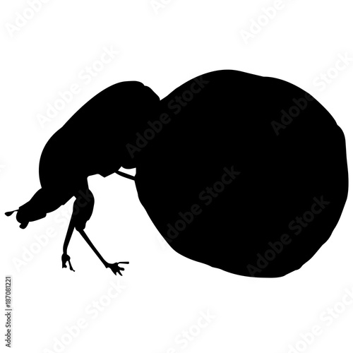 Dung beetle