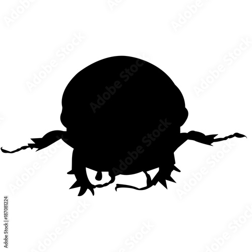 Dung beetle