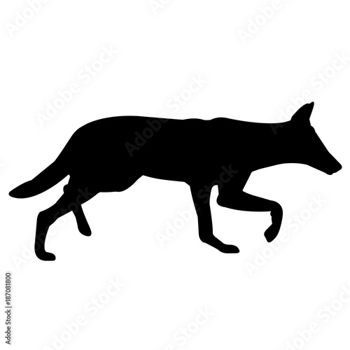 Jackal Silhouette Vector Graphics