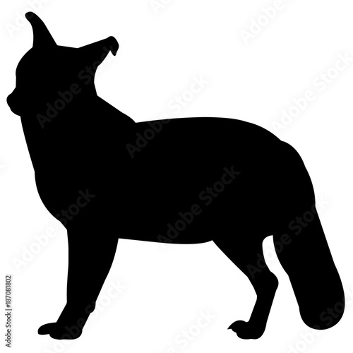 Jackal Silhouette Vector Graphics