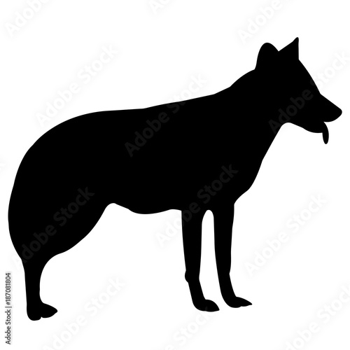 Jackal Silhouette Vector Graphics