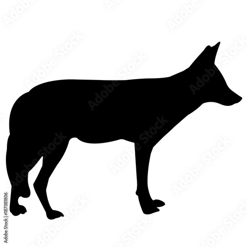 Jackal Silhouette Vector Graphics