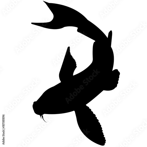 Koi Silhouette Vector Graphics