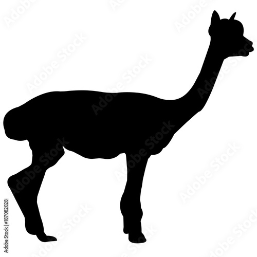 Llama Silhouette Vector Graphics