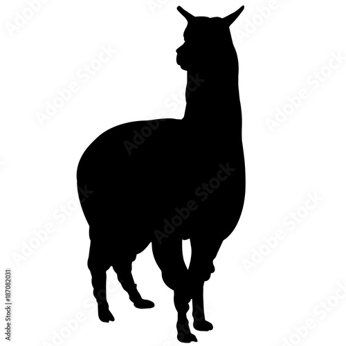 Llama Silhouette Vector Graphics