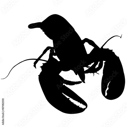 Lobster Silhouette Vector Graphics