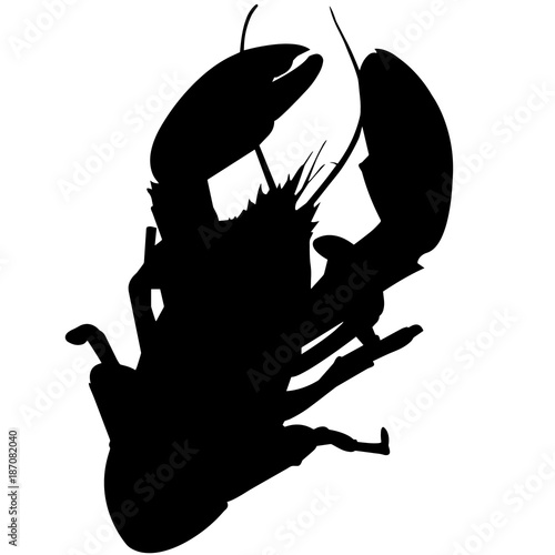 Lobster Silhouette Vector Graphics