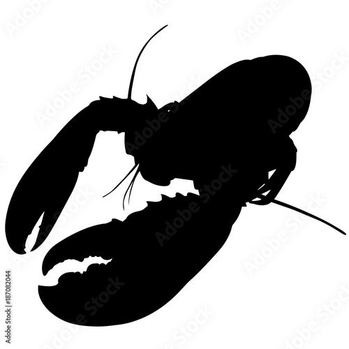 Lobster Silhouette Vector Graphics
