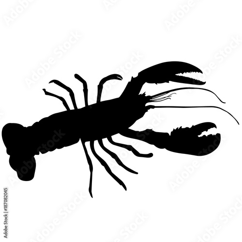 Lobster Silhouette Vector Graphics