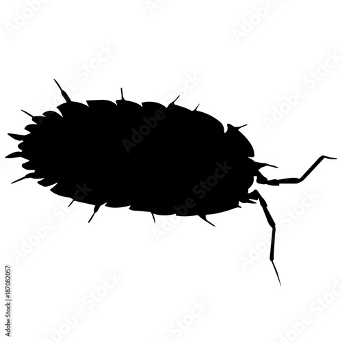 Louse Silhouette Vector Graphics