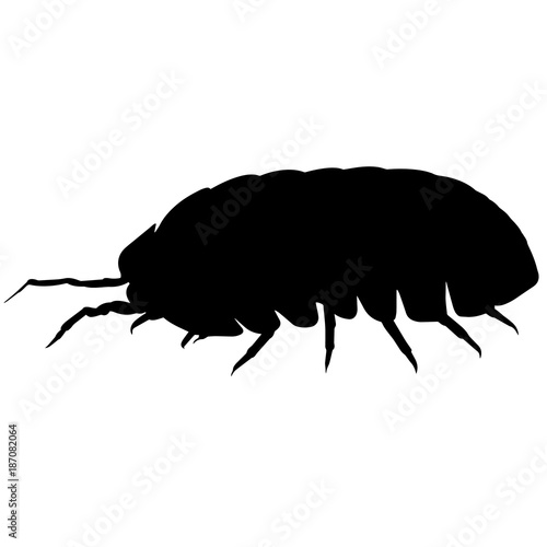 Louse Silhouette Vector Graphics