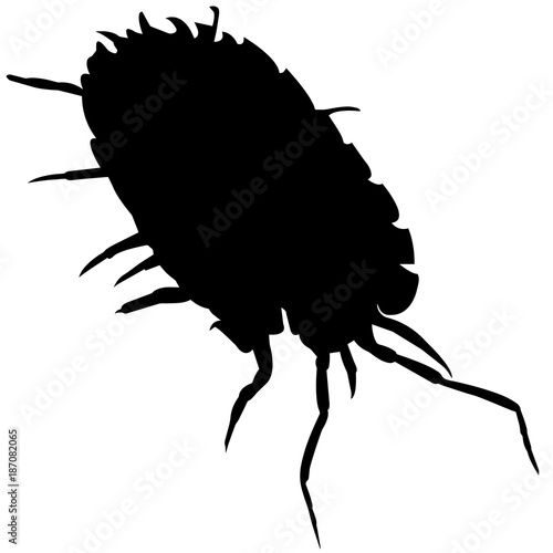 Louse Silhouette Vector Graphics