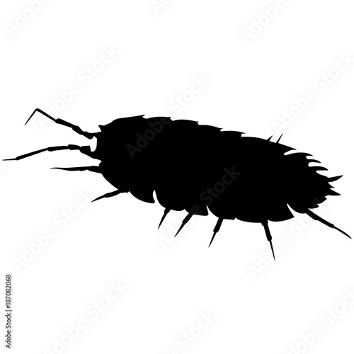 Louse Silhouette Vector Graphics