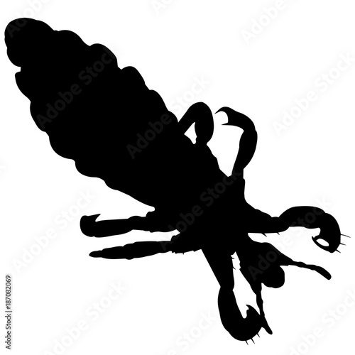 Louse Silhouette Vector Graphics