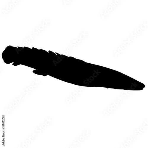 Lungfish Silhouette Vector Graphics