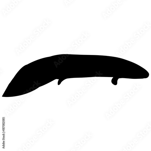 Lungfish Silhouette Vector Graphics