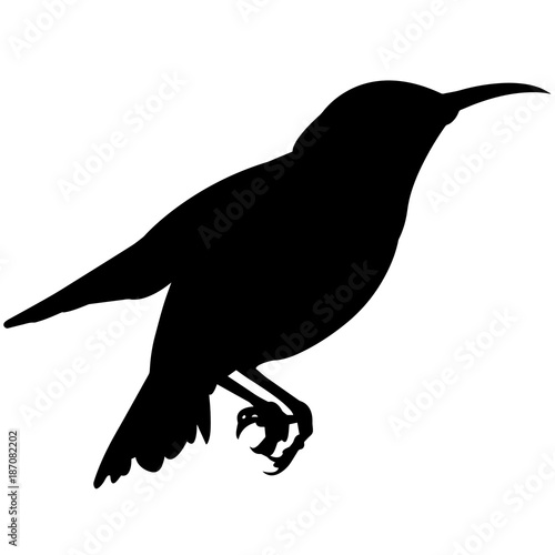 Meadowlark Silhouette Vector Graphics